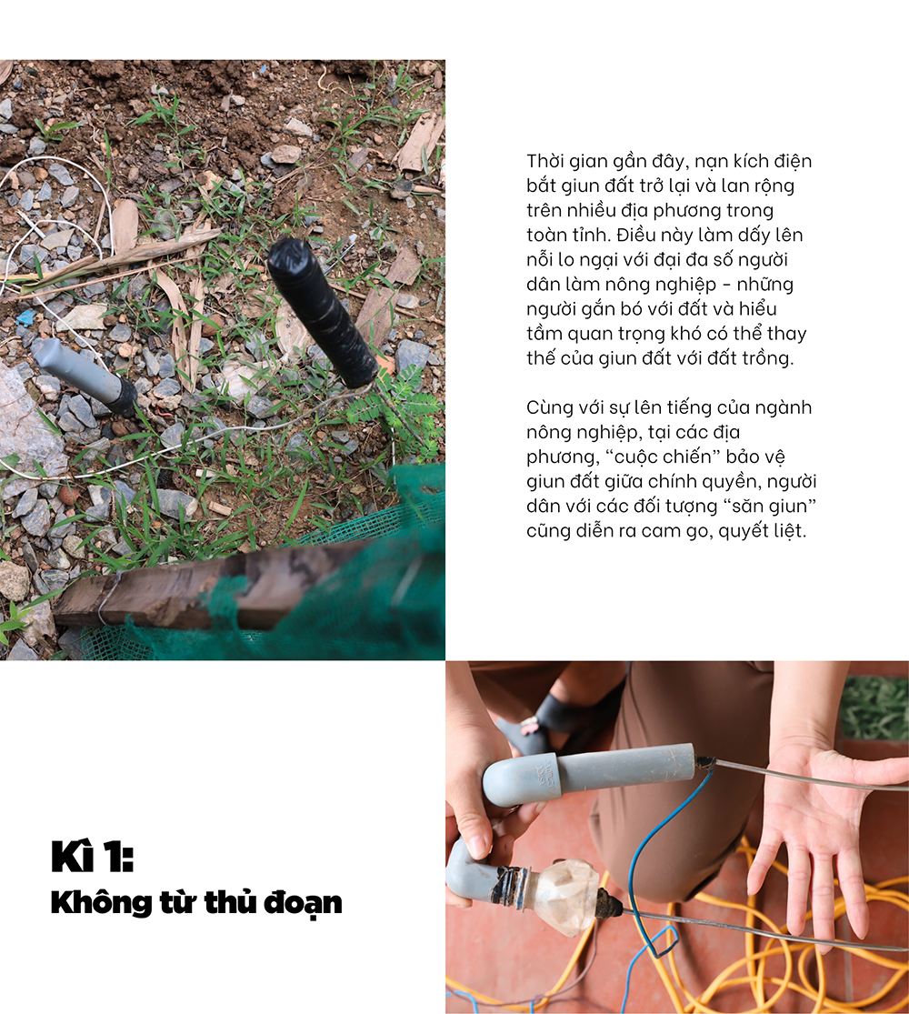 “Cuộc chiến” bảo vệ giun đất