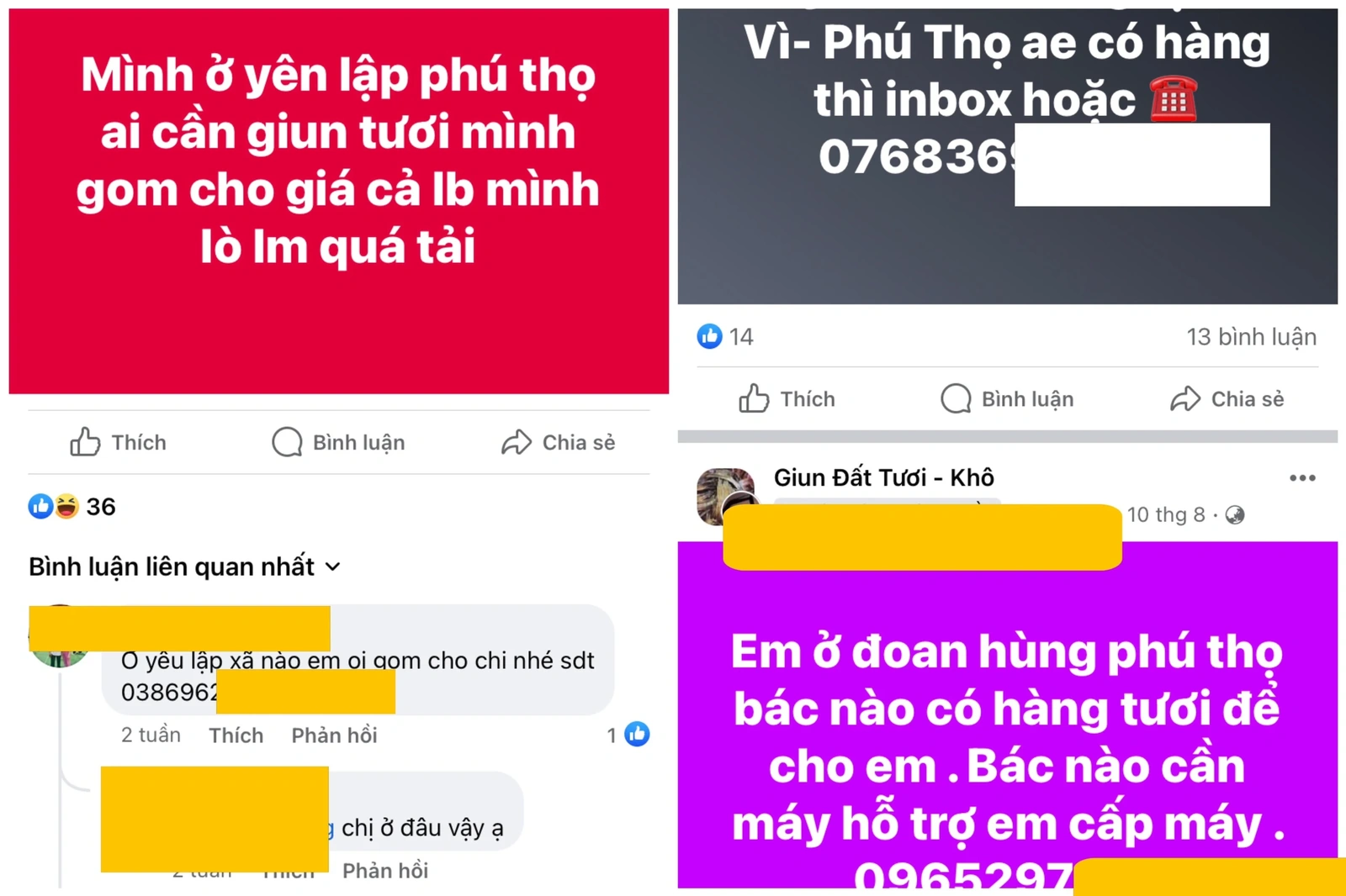 “Cuộc chiến” bảo vệ giun đất