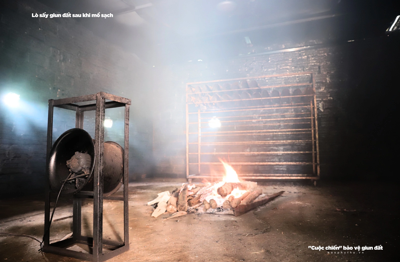 “Cuộc chiến” bảo vệ giun đất