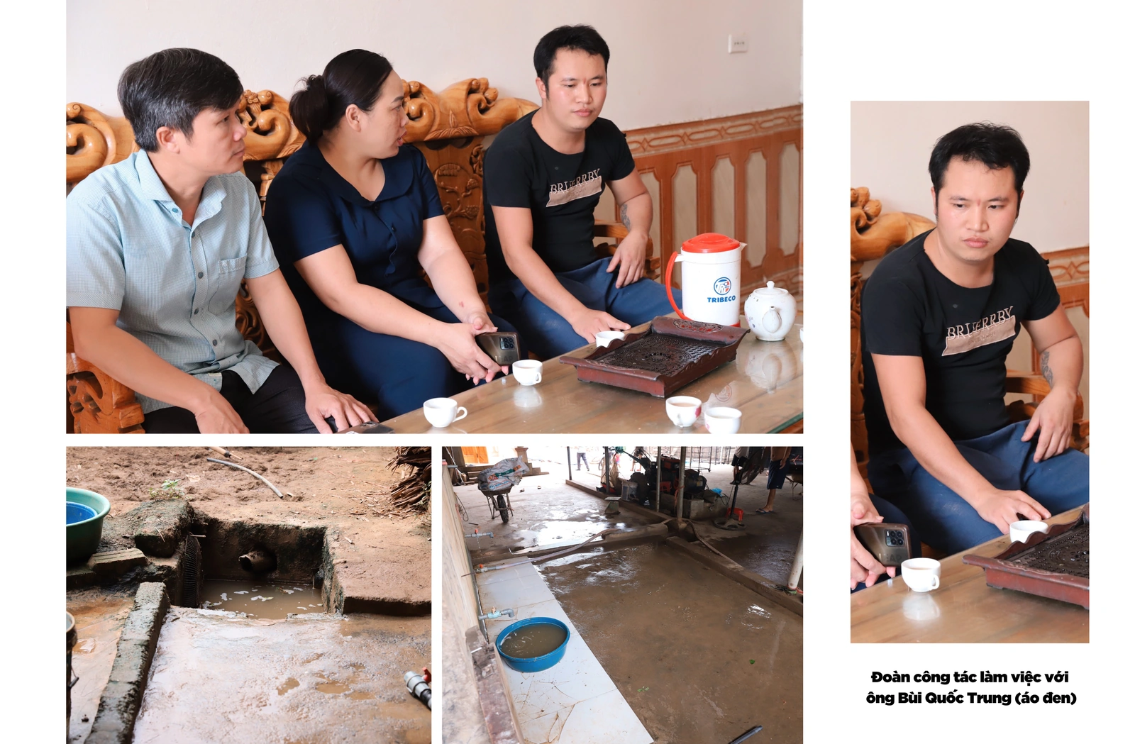 “Cuộc chiến” bảo vệ giun đất