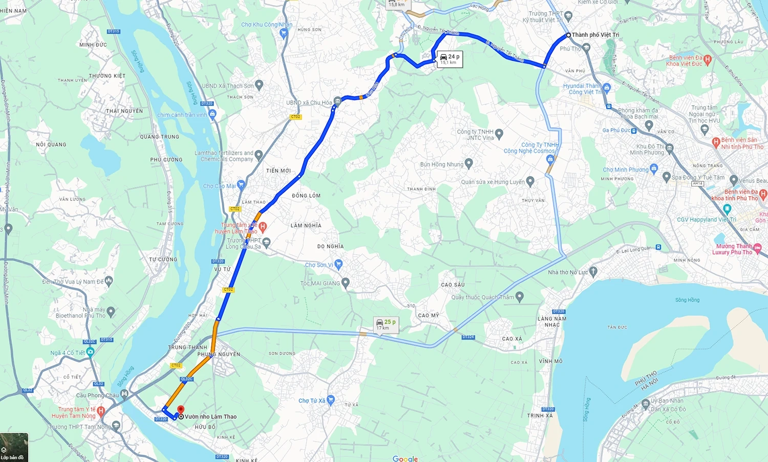 Vườn nho Lâm Thao – Điểm hút khách tại Phú Thọ