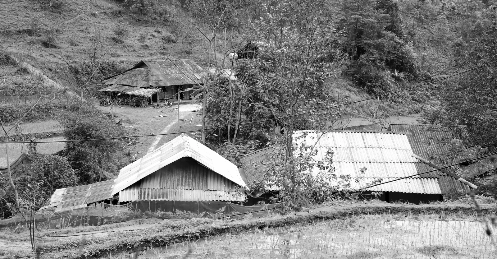 Trung Sơn đi lên từ khó khăn