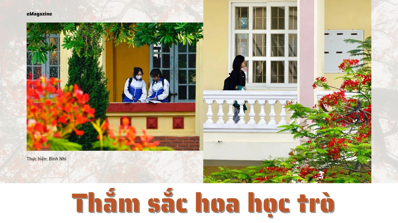 Thắm sắc hoa học trò