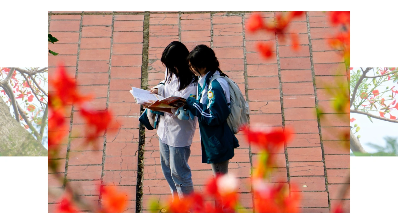 Thắm sắc hoa học trò