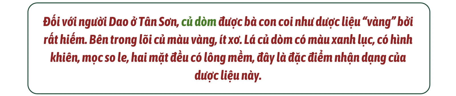 Thứ củ có đôi