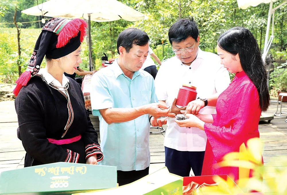 Phát huy tinh thần đoàn kết, vượt qua thách thức, bứt phá vươn lên