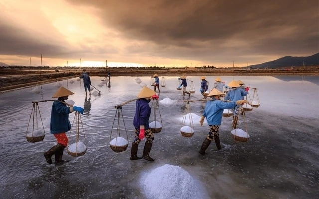 Bạc Liêu là địa phương có diện tích sản xuất muối lớn nhất cả nước với trên 1.400 ha (Ảnh: KT) Nhiều hoạt động được tổ chức tại Festival nghề Muối Việt Nam - Bạc Liêu năm 2025
