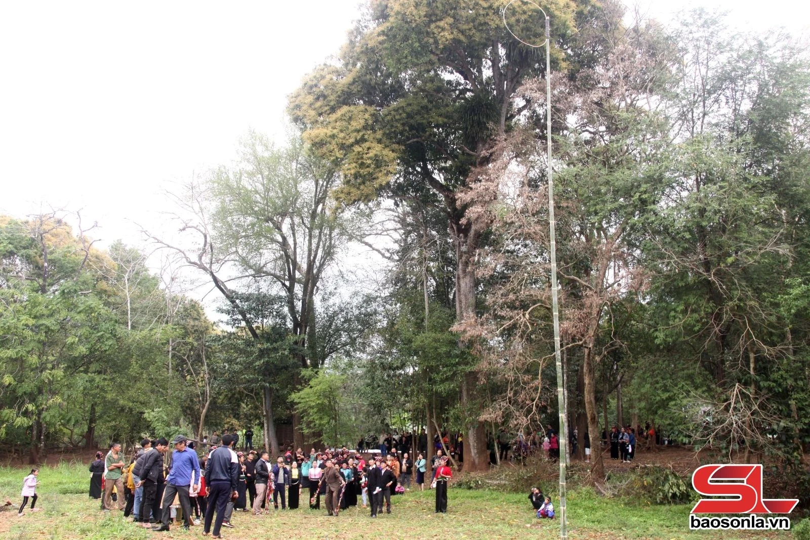 Cần có những giải pháp để khơi dậy tiềm năng du lịch Yên Châu