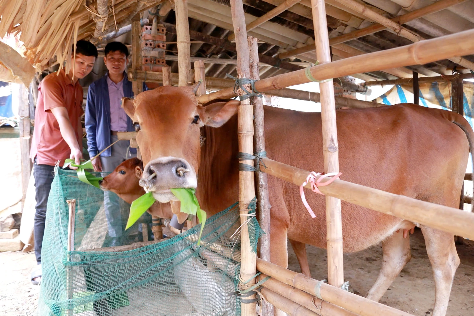 Tích cực hỗ trợ phát triển sản xuất, giúp người dân thoát nghèo