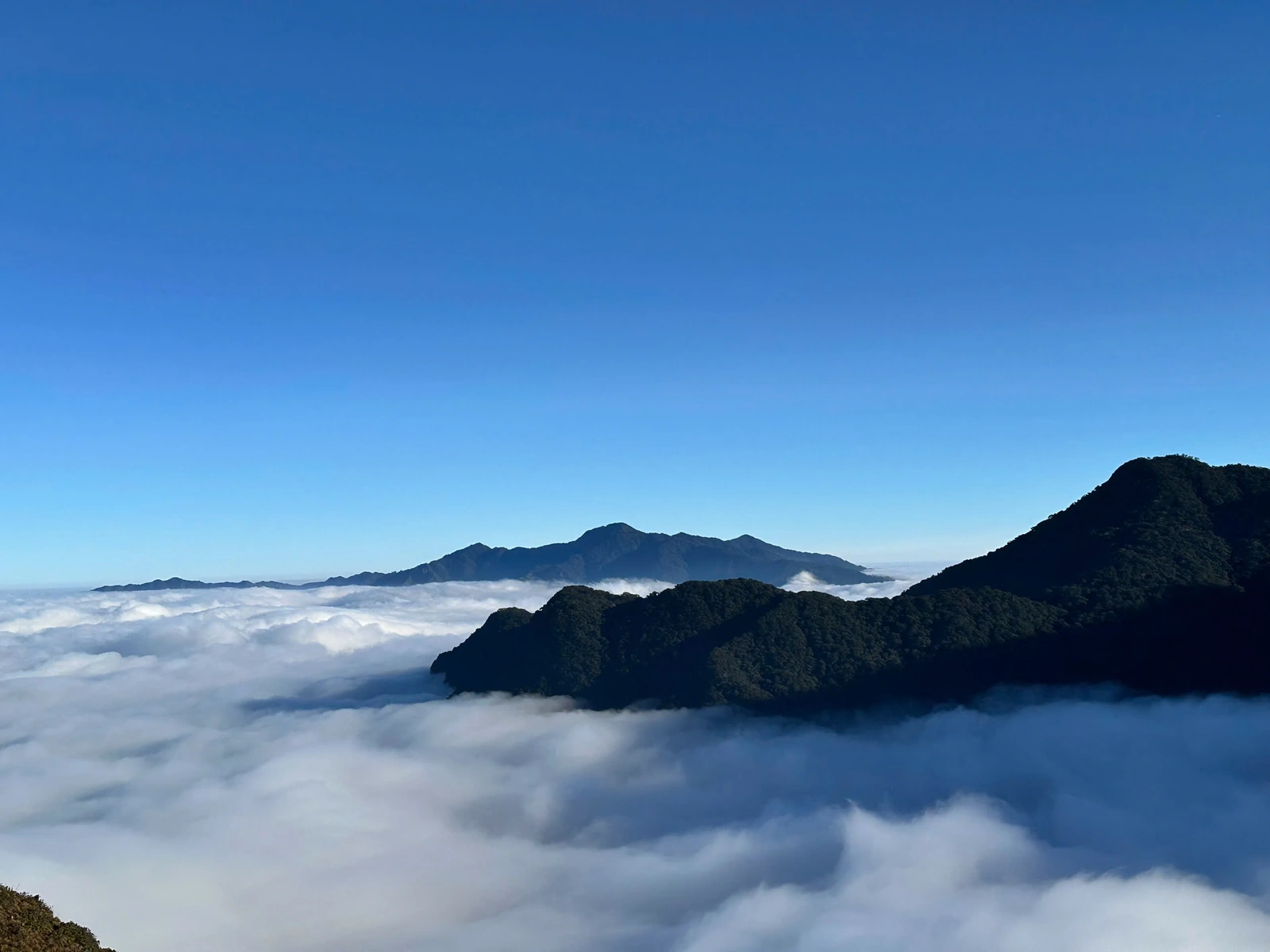 Hơn 100 phóng viên, nhà báo sẵn sàng chinh phục đỉnh Tà Xùa