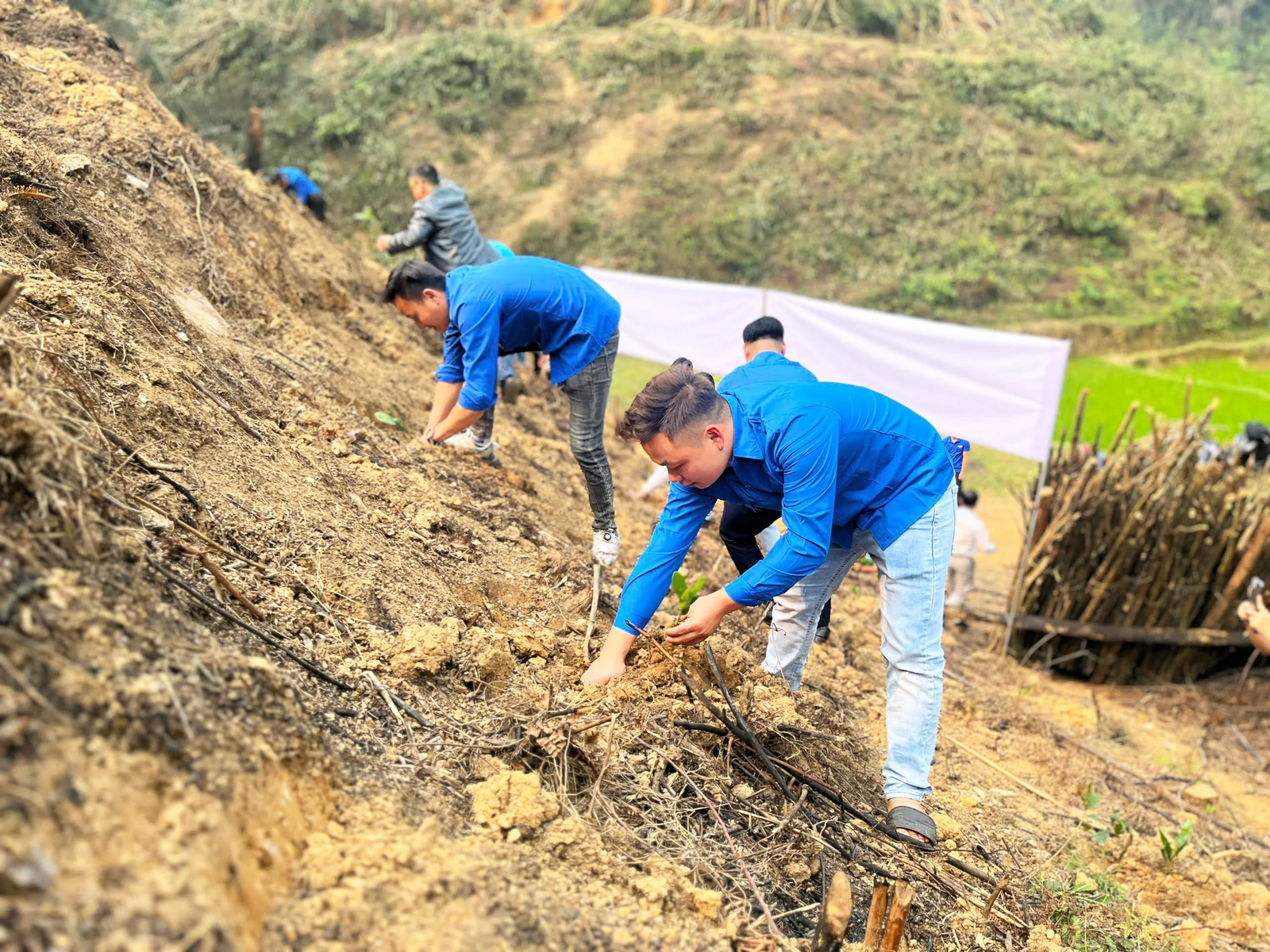 Trao tặng công trình “Rừng cây thanh niên - Lan tỏa hành trình xanh”