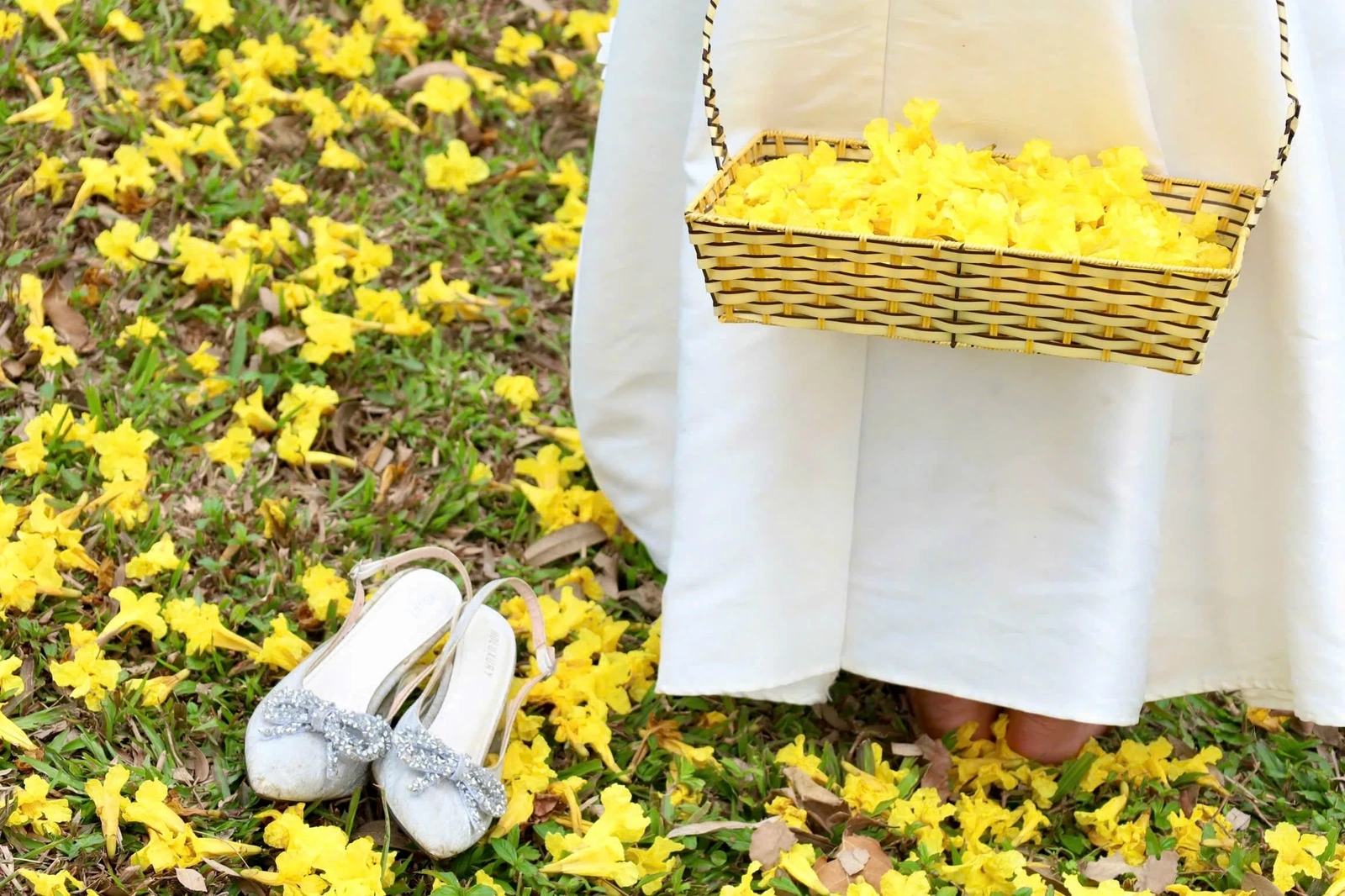 Sắc hoa trên phố