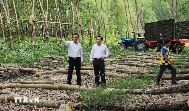 Chính phủ yêu cầu không để trượt tiến độ các dự án giao thông trọng điểm