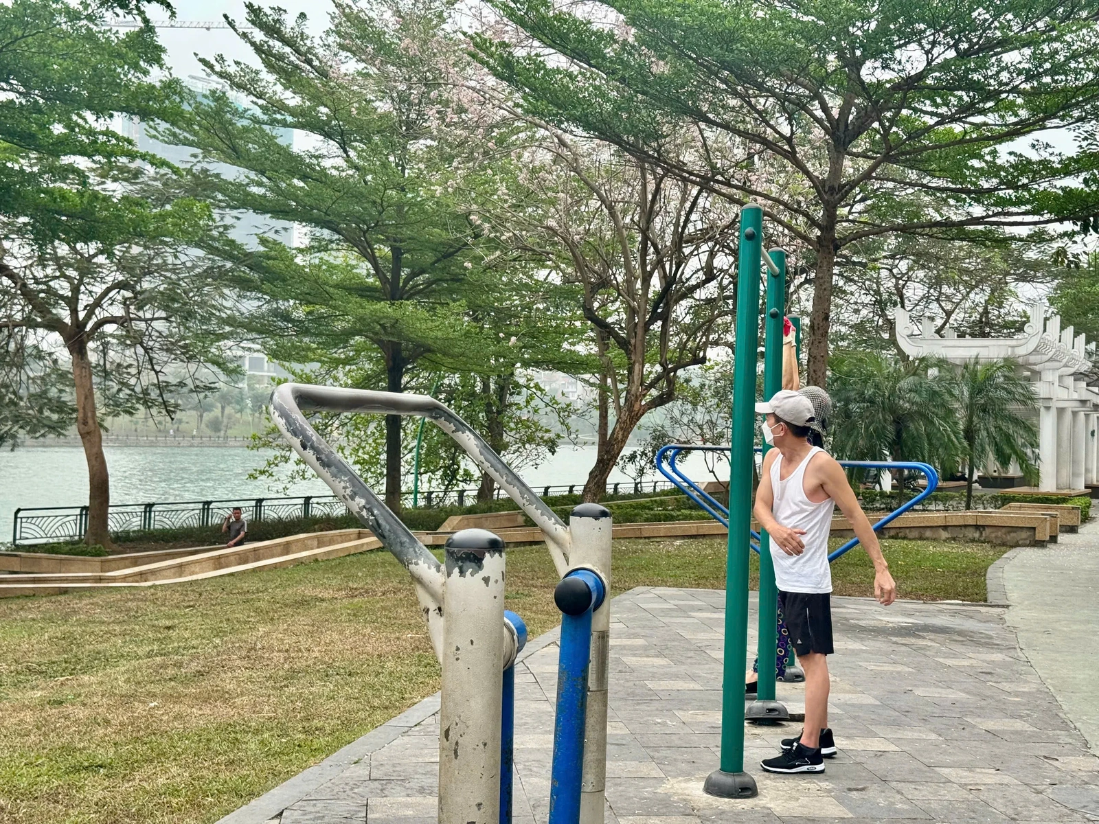 Sắc hoa trên phố