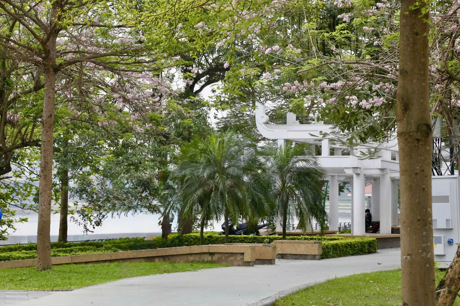 Sắc hoa trên phố