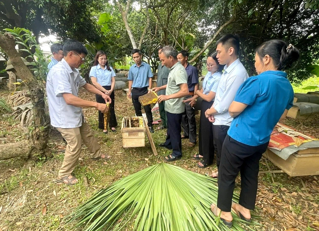 Sáp nhập đơn vị hành chính và tinh gọn bộ máy cấp xã