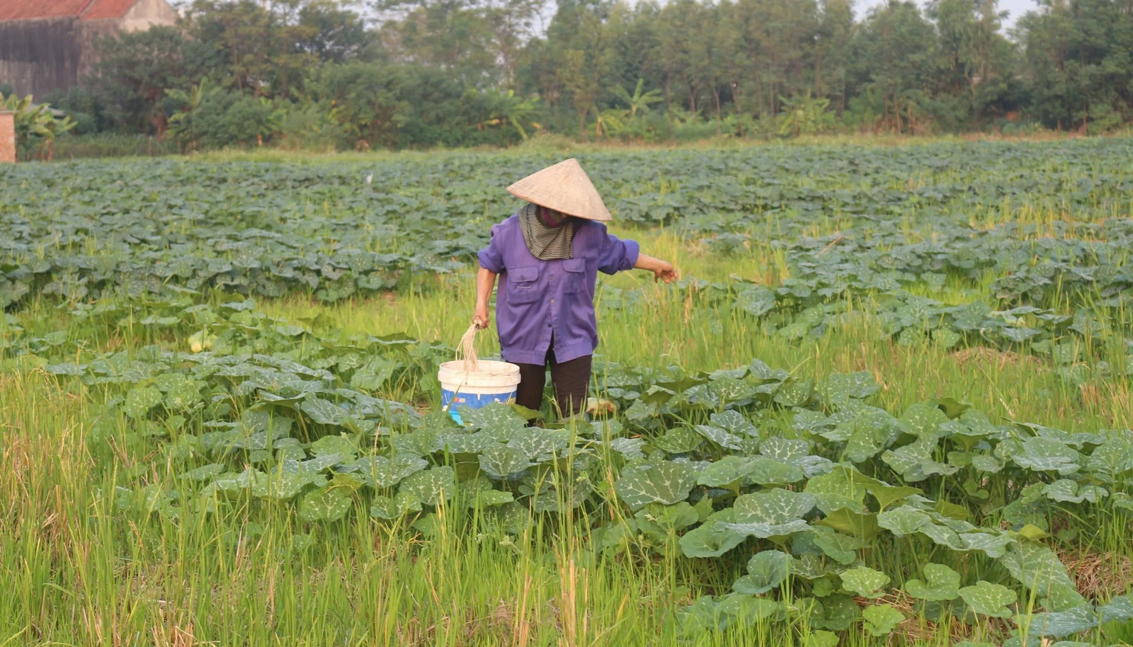 Kỳ 3: Trên dưới đồng lòng, dọc ngang thông suốt