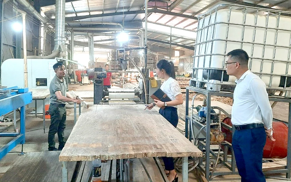 Phát huy hiệu quả ứng dụng, phát triển khoa học công nghệ, chuyển đổi số