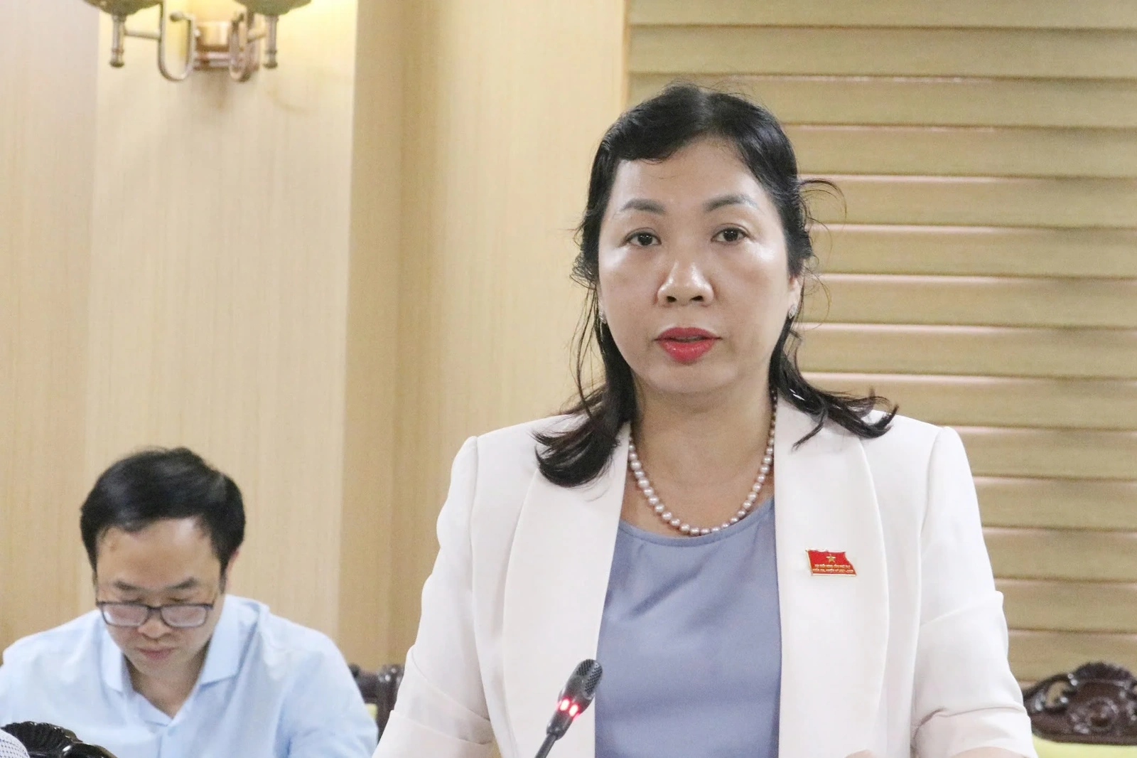 Ban Kinh tế - Ngân sách HĐND tỉnh thẩm tra dự thảo nghị quyết trình tại Kỳ họp chuyên đề thứ Chín, HĐND tỉnh