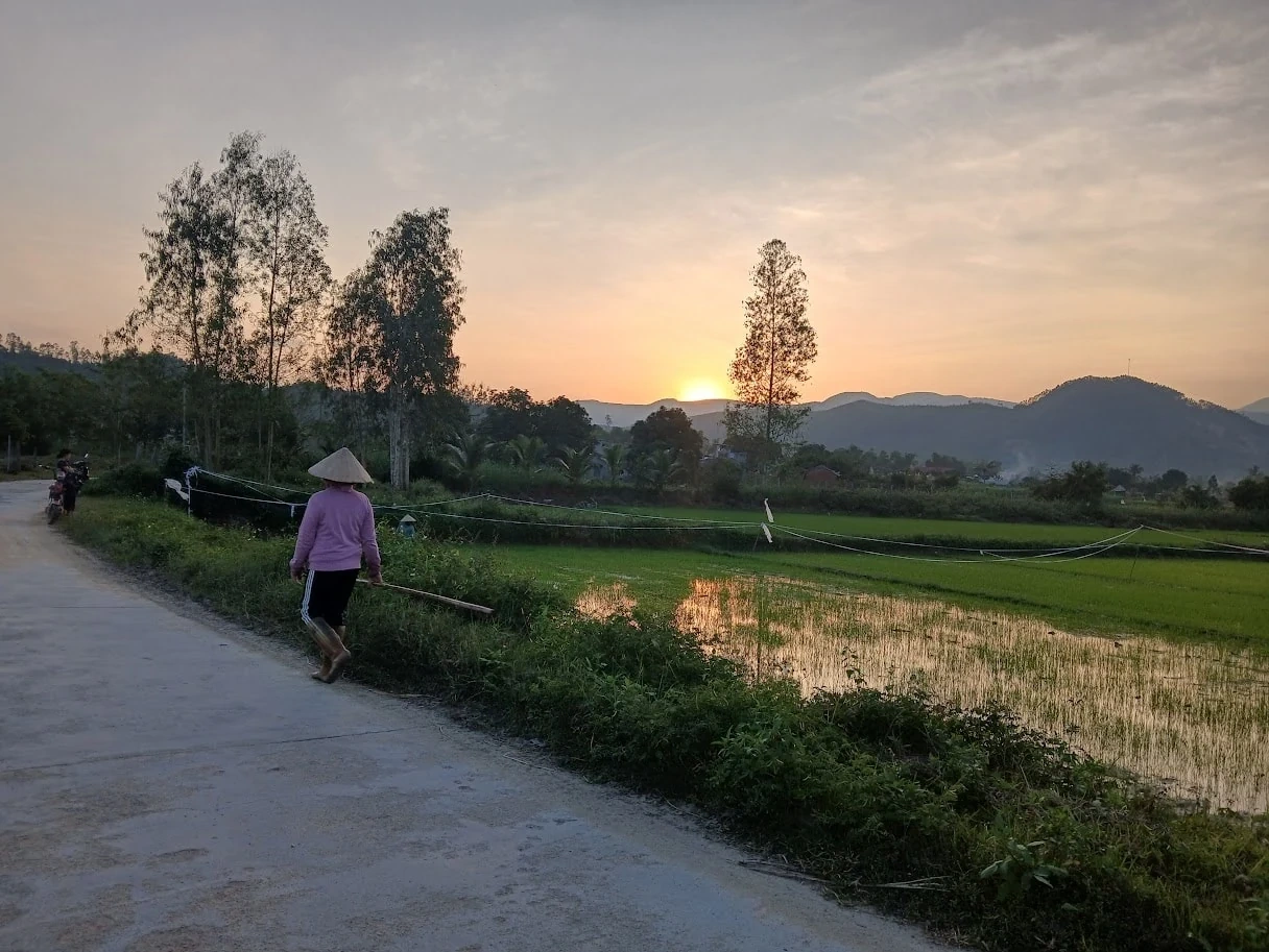 Bóng nội đượm mùi đất quê...