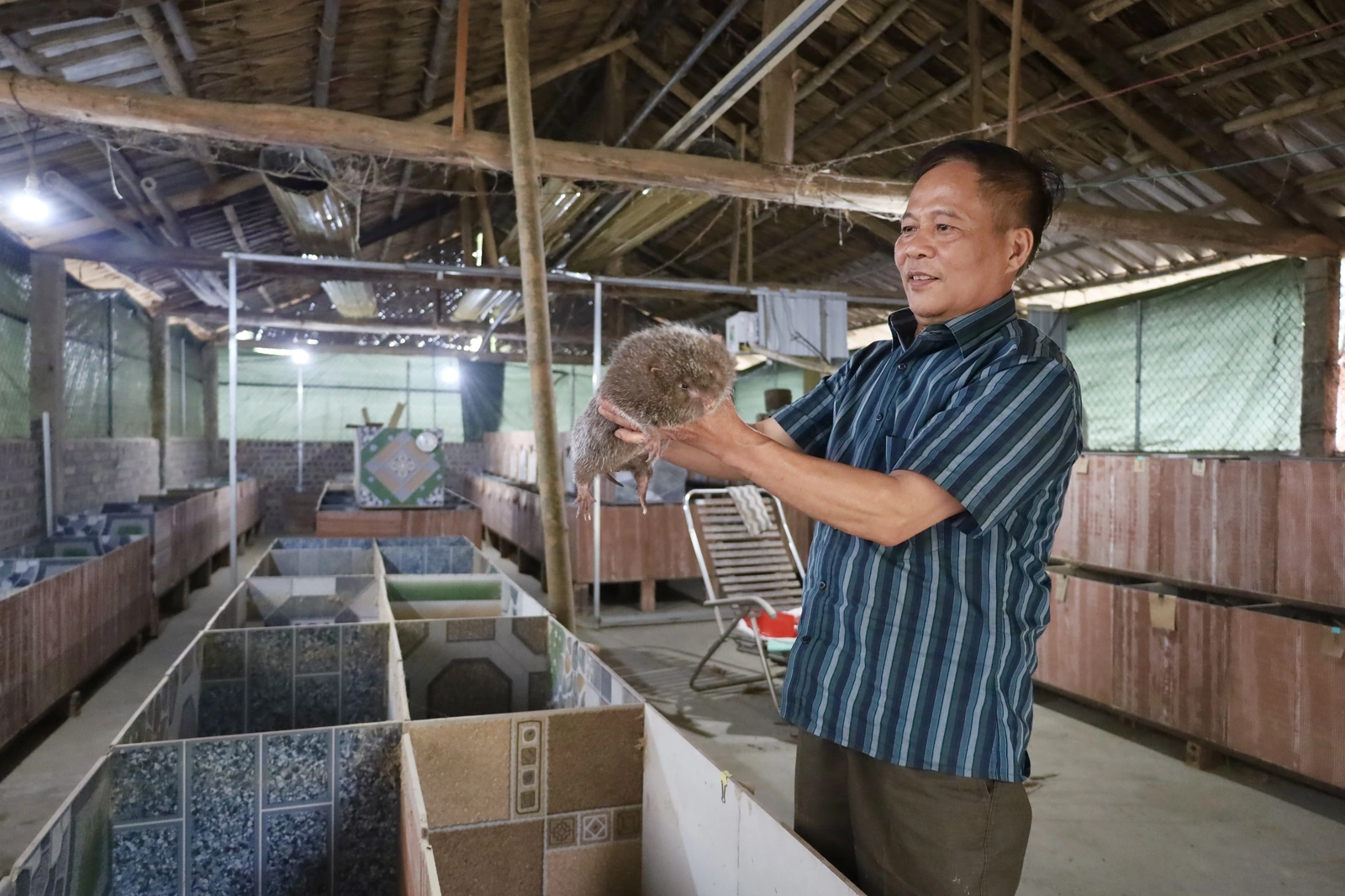 Đa dạng mô hình phát triển kinh tế ở Văn Lang