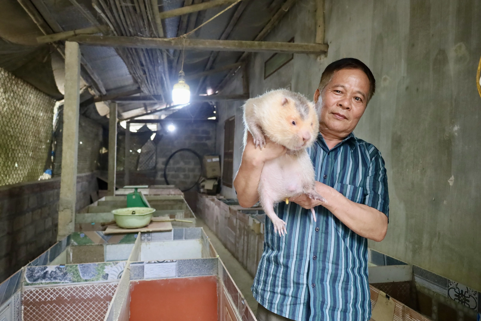 Đa dạng mô hình phát triển kinh tế ở Văn Lang