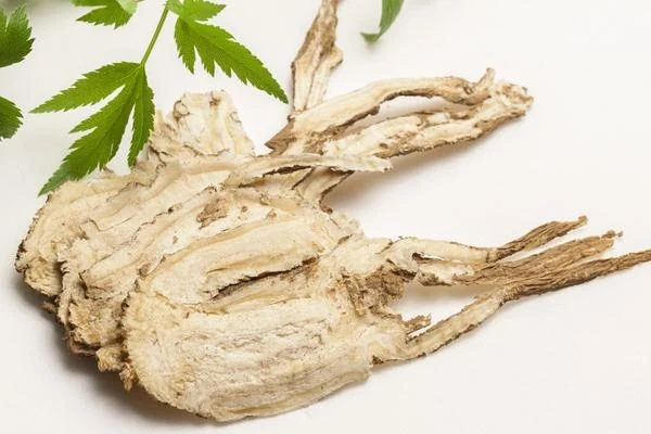 Bài thuốc chữa mụn trứng cá từ cây kim ngân - Ảnh 3. Bài thuốc chữa mụn trứng cá từ cây kim ngân