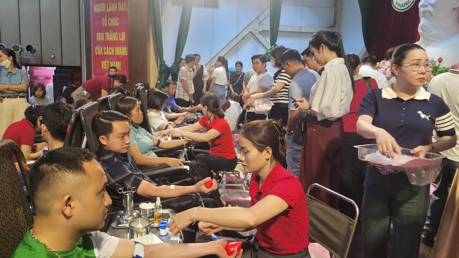 Ngày hội hiến máu tình nguyện “Tình người Phong Châu” tiếp nhận 595 đơn vị máu