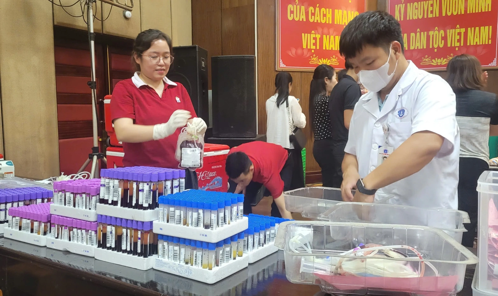 Ngày hội hiến máu tình nguyện “Tình người Phong Châu” tiếp nhận 595 đơn vị máu