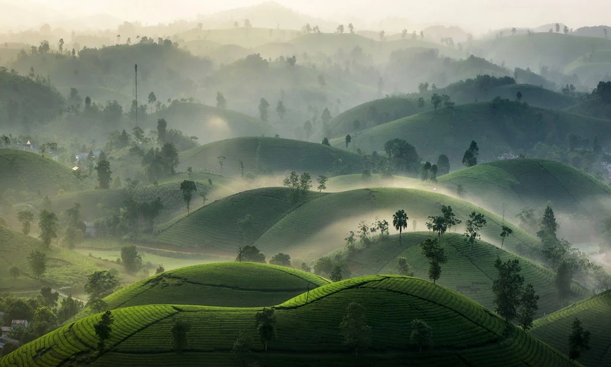 Khuyến cáo người dân Phú Thọ xem dự báo thời tiết trực tuyến để phòng tránh bão lũ