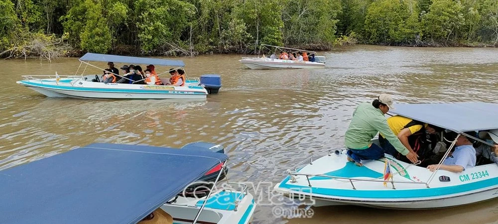 Mũi Cà Mau - Ðiểm đến hấp dẫn