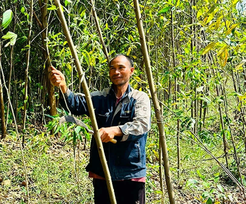 Thấy gì từ những lá thư xin thoát nghèo ở Vĩnh Sơn