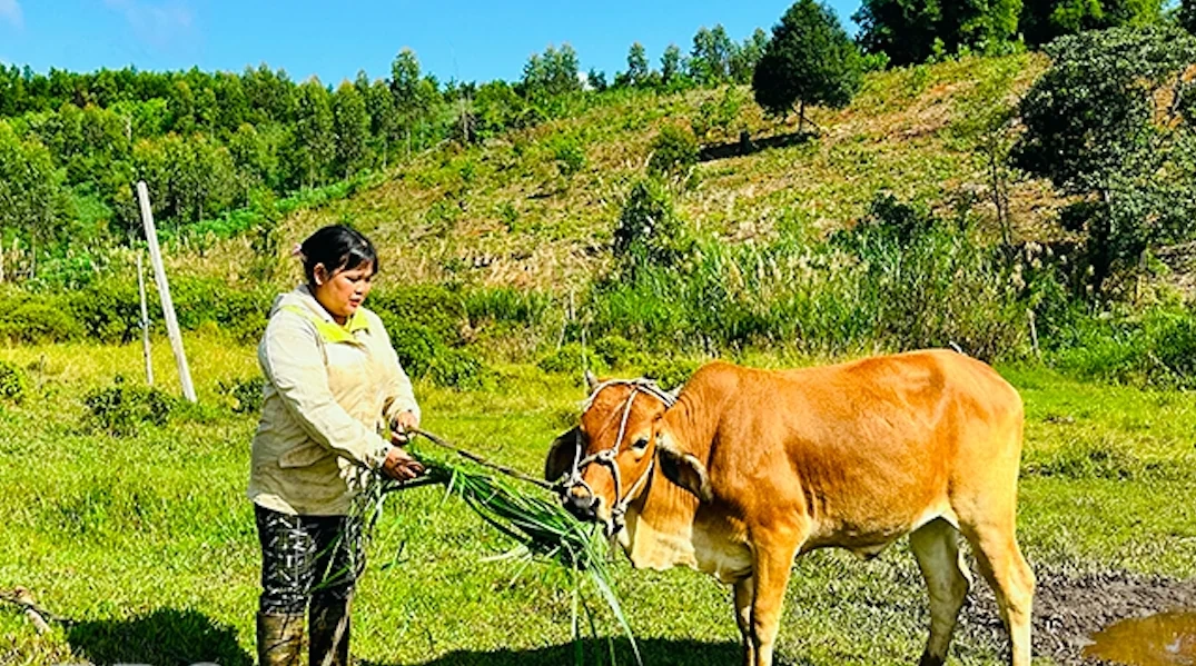 Thấy gì từ những lá thư xin thoát nghèo ở Vĩnh Sơn