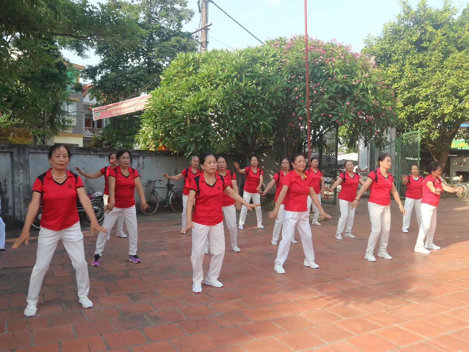 Tuổi càng cao, trí càng sáng