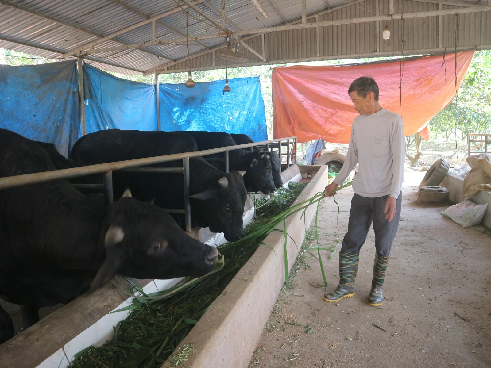 Tuổi càng cao, trí càng sáng