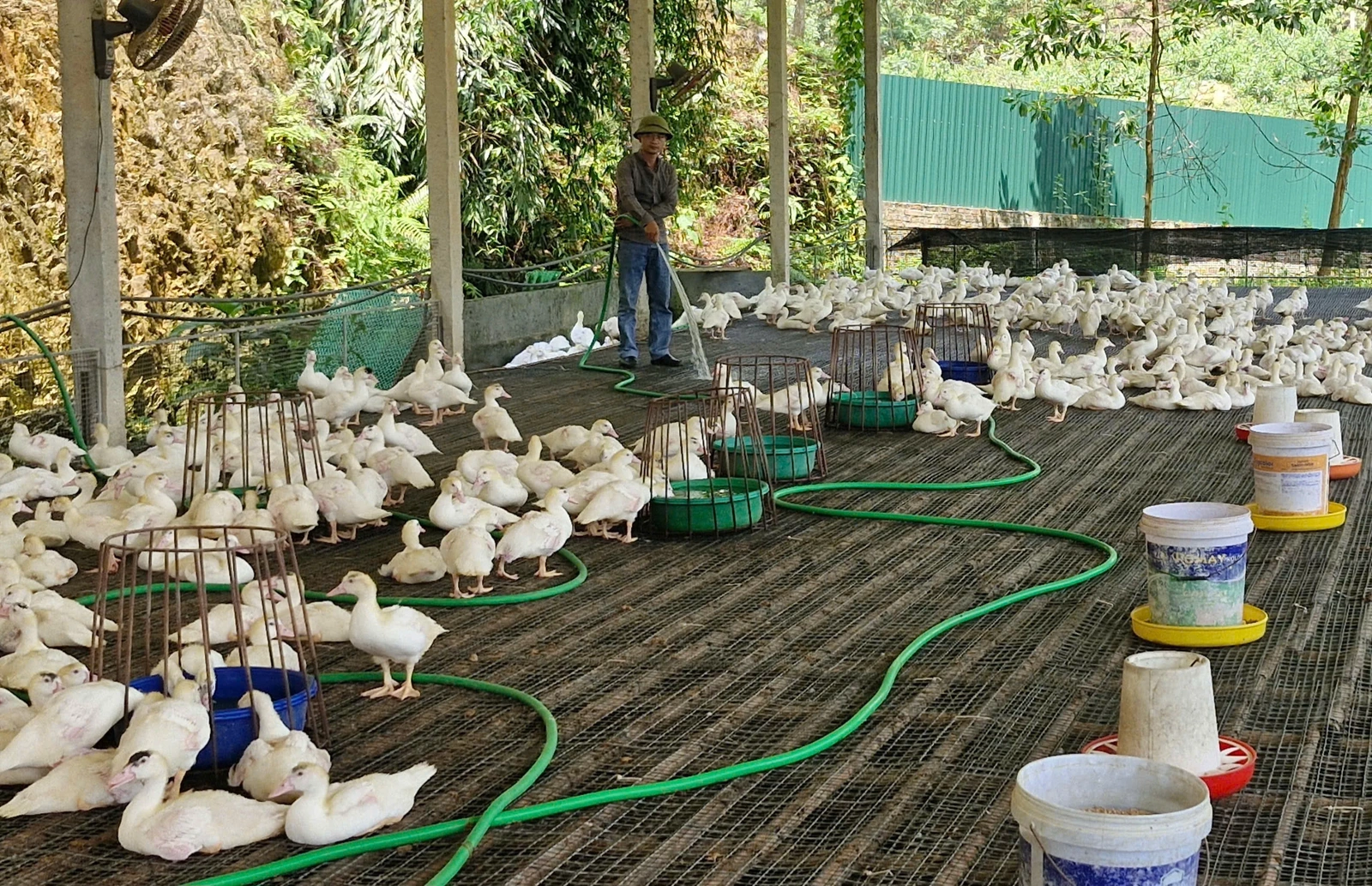 Đời sống nâng cao từ chương trình xây dựng nông thôn mới