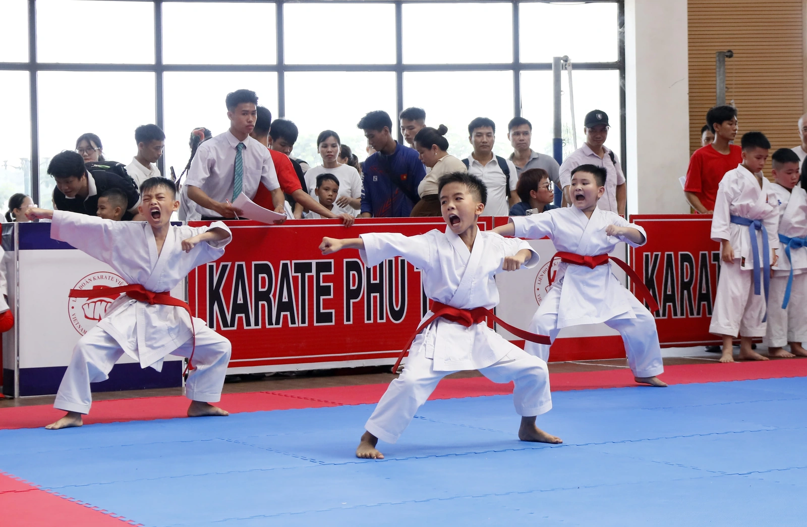 980 VĐV tham dự Giải Vô địch Cúp Karate Phú Thọ mở rộng năm 2025