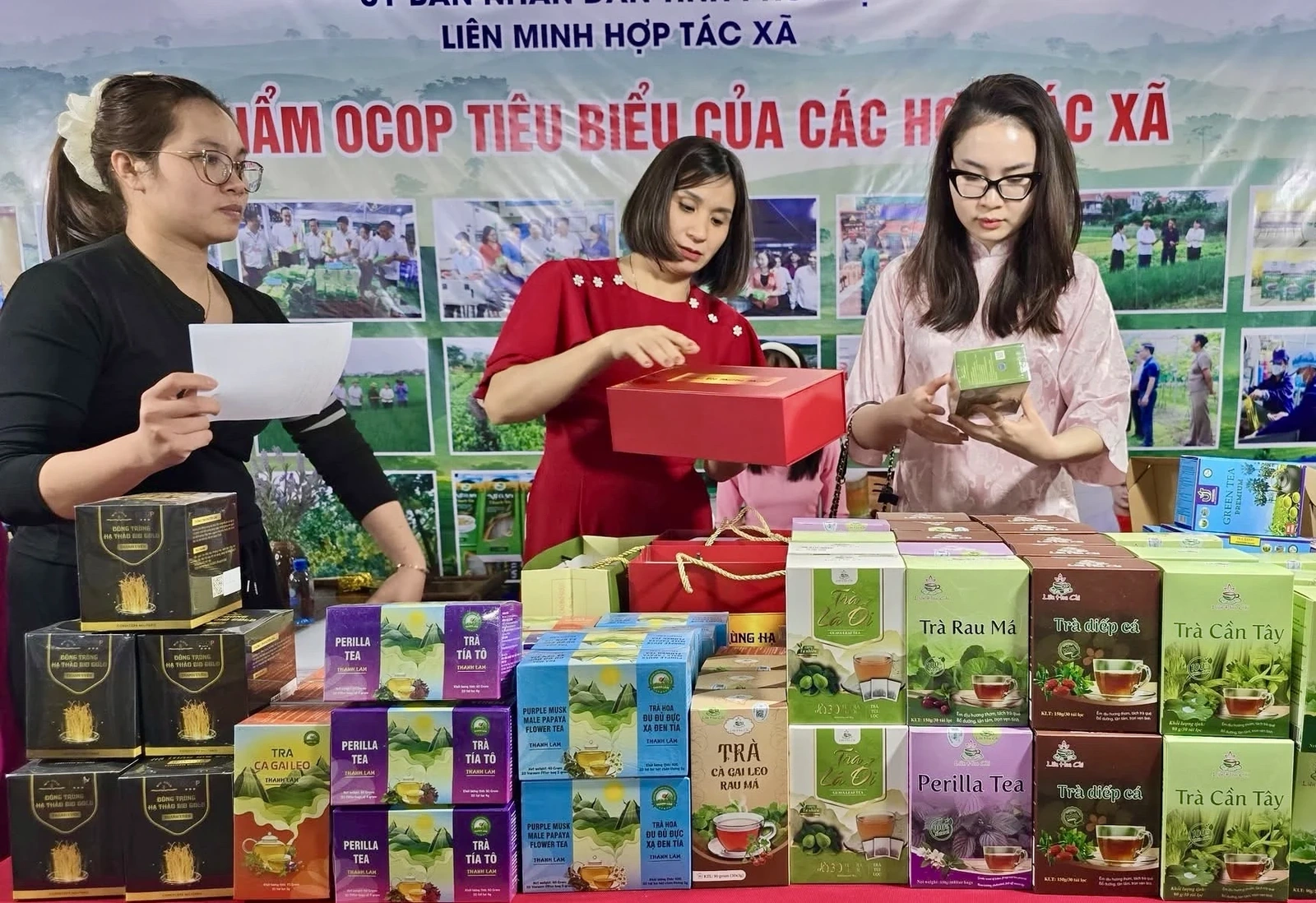 Hỗ trợ HTX xúc tiến tiêu thụ sản phẩm