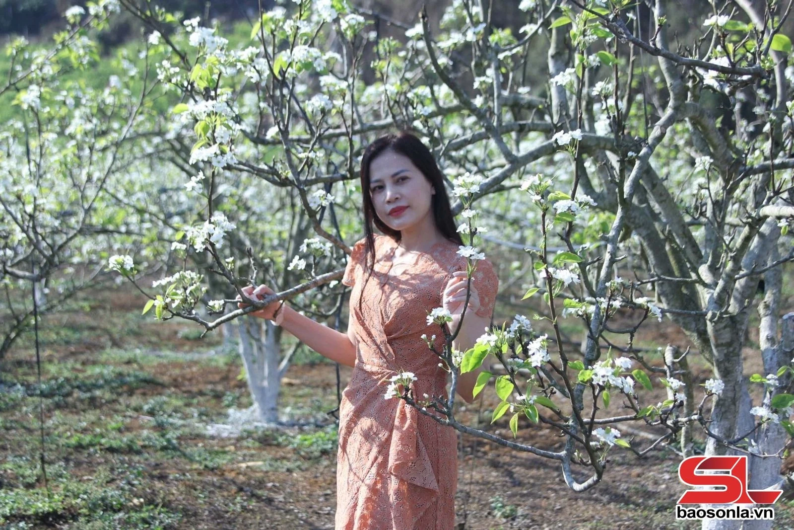 Du lịch sinh thái từ vùng cây ăn quả