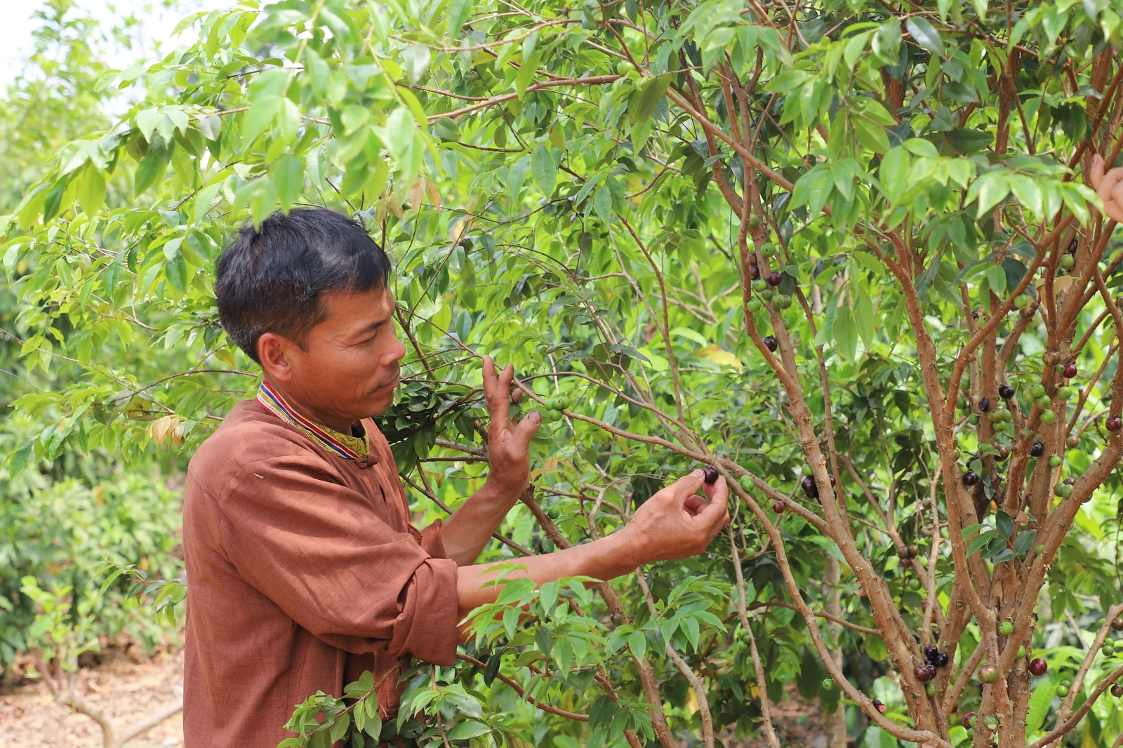 Đổi thay từ chương trình mục tiêu Quốc gia