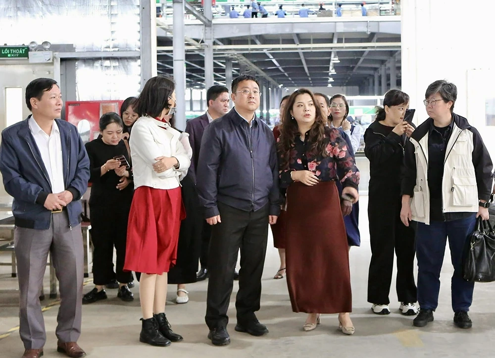 Nâng cao hiệu quả công tác ngoại giao kinh tế