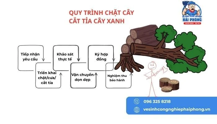 HOANGHUYCLEAN Dịch vụ cắt cây tỉa cảnh tại Hải Phòng chuyên nghiệp