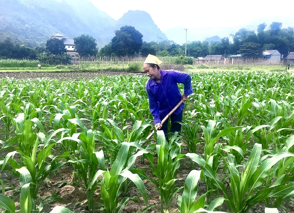 Xã Mai Châu: Sẵn sàng cho Đại hội Đảng với những kỳ vọng đột phá