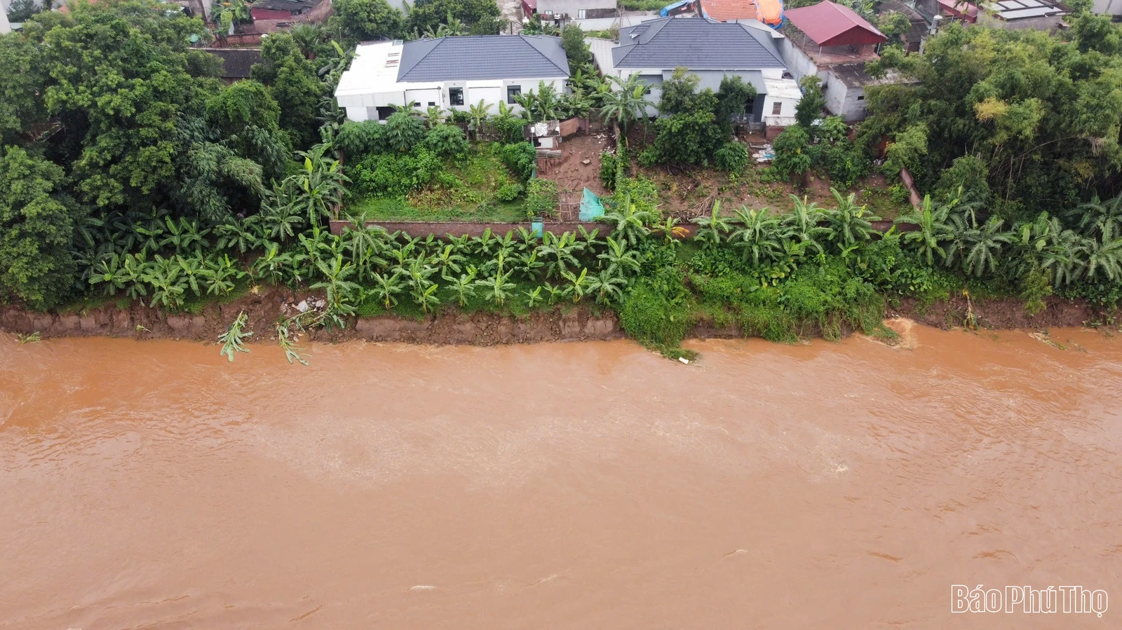 Sạt lở nghiêm trọng bờ, vở sông Thao