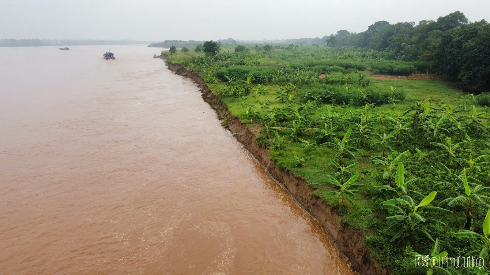 Sạt lở nghiêm trọng bờ, vở sông Thao