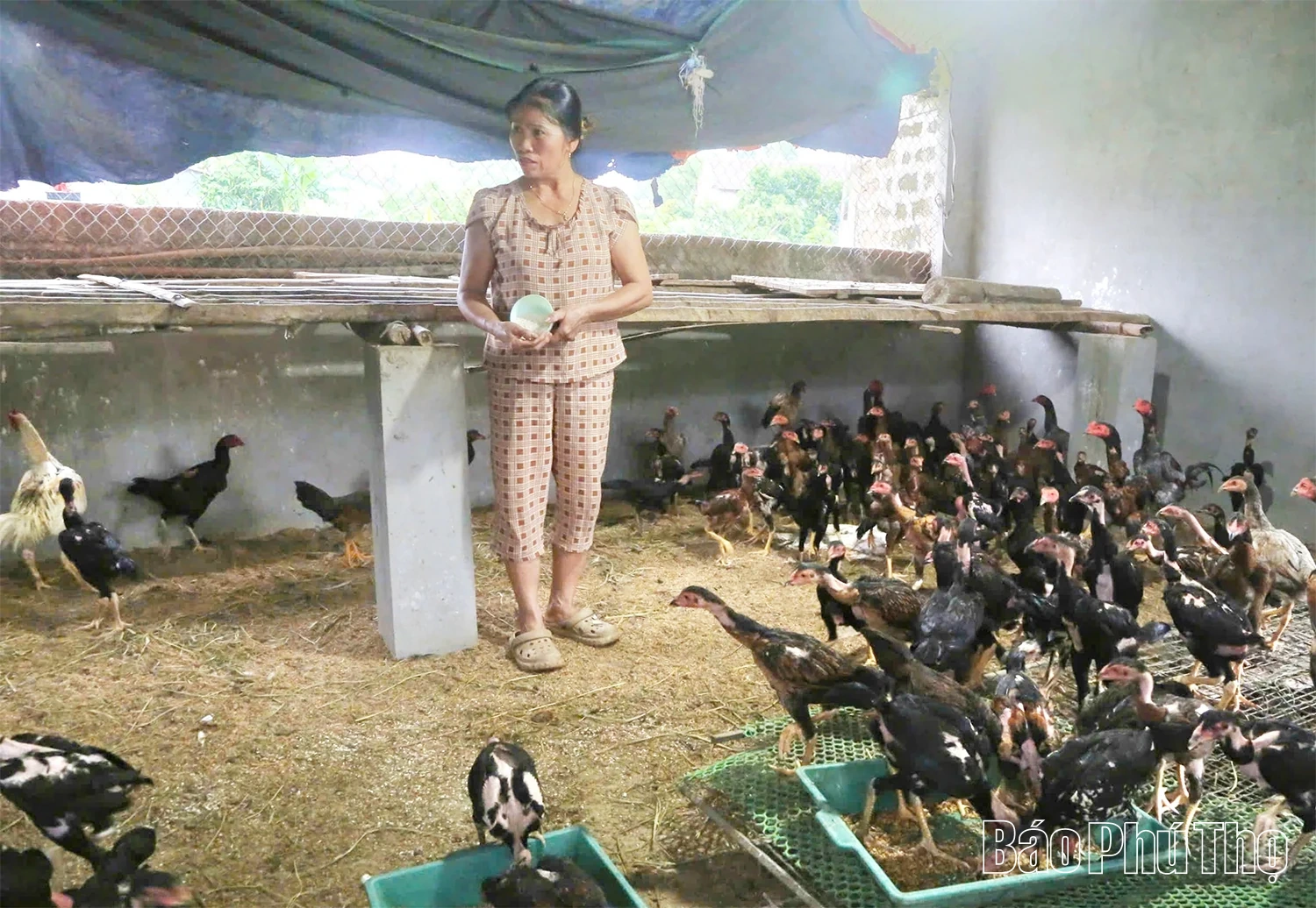 Phát huy vai trò của tổ tiết kiệm và vay vốn