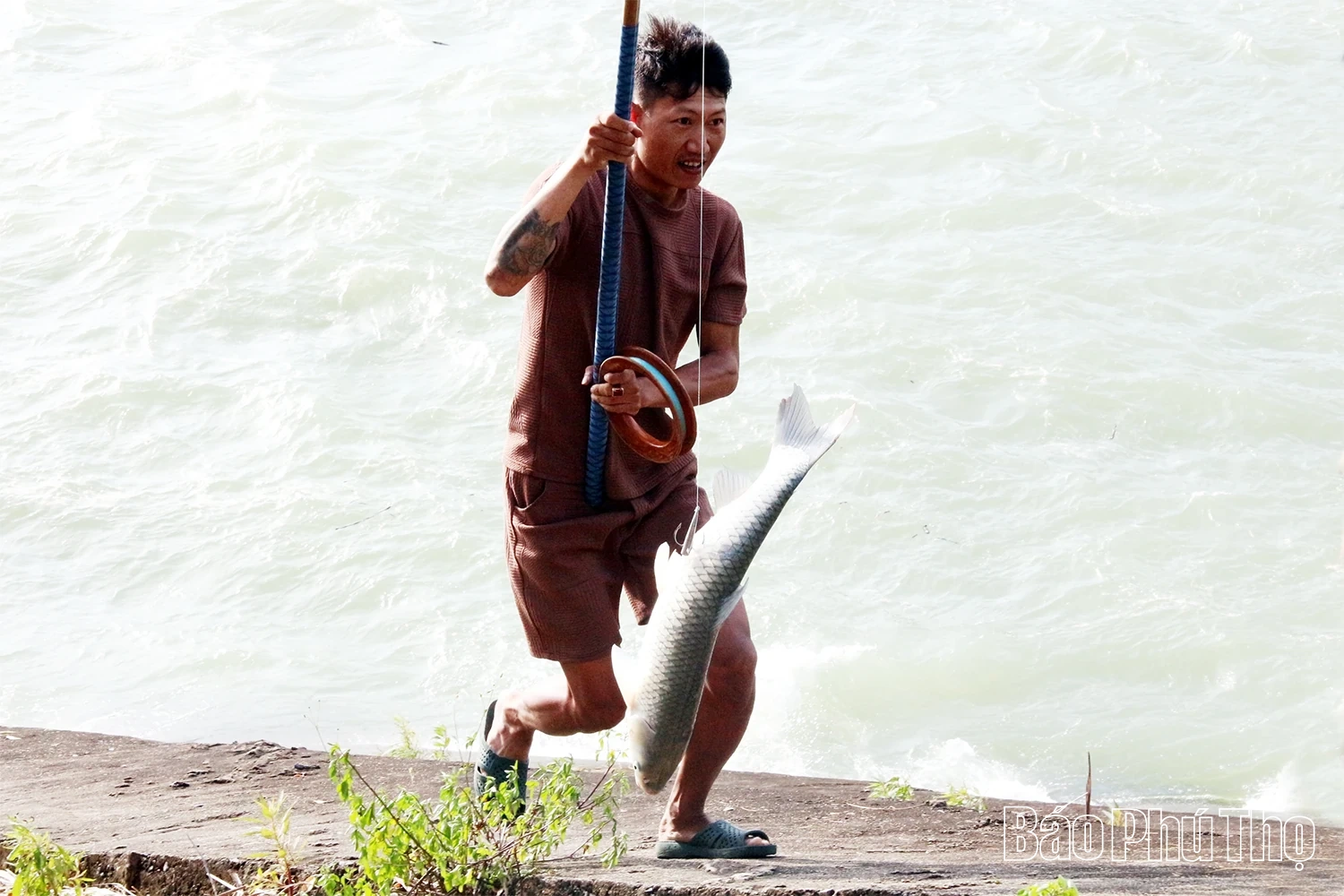 Săn “ngựa nước” giữa dòng Đà Giang cuộn sóng