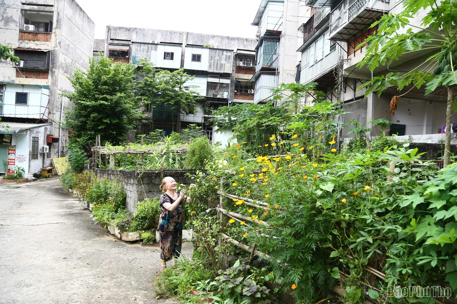 Khu chuyên gia Liên Xô - Miền ký ức bên phố núi