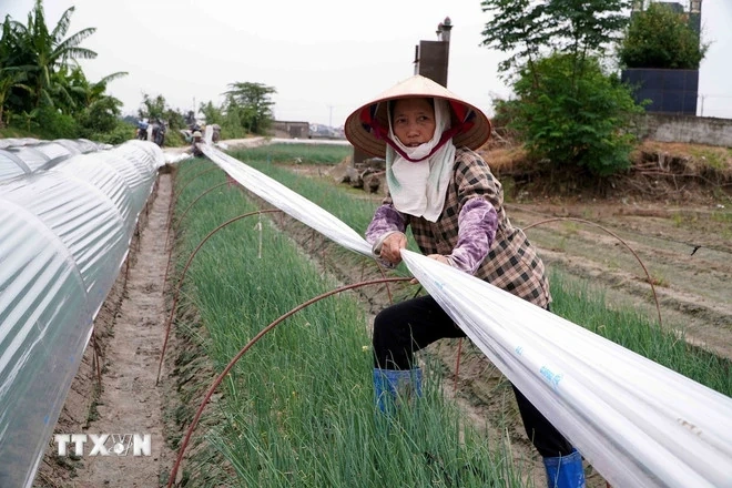 Thủ tướng yêu cầu khẩn trương triển khai ứng phó khẩn cấp với bão số 3