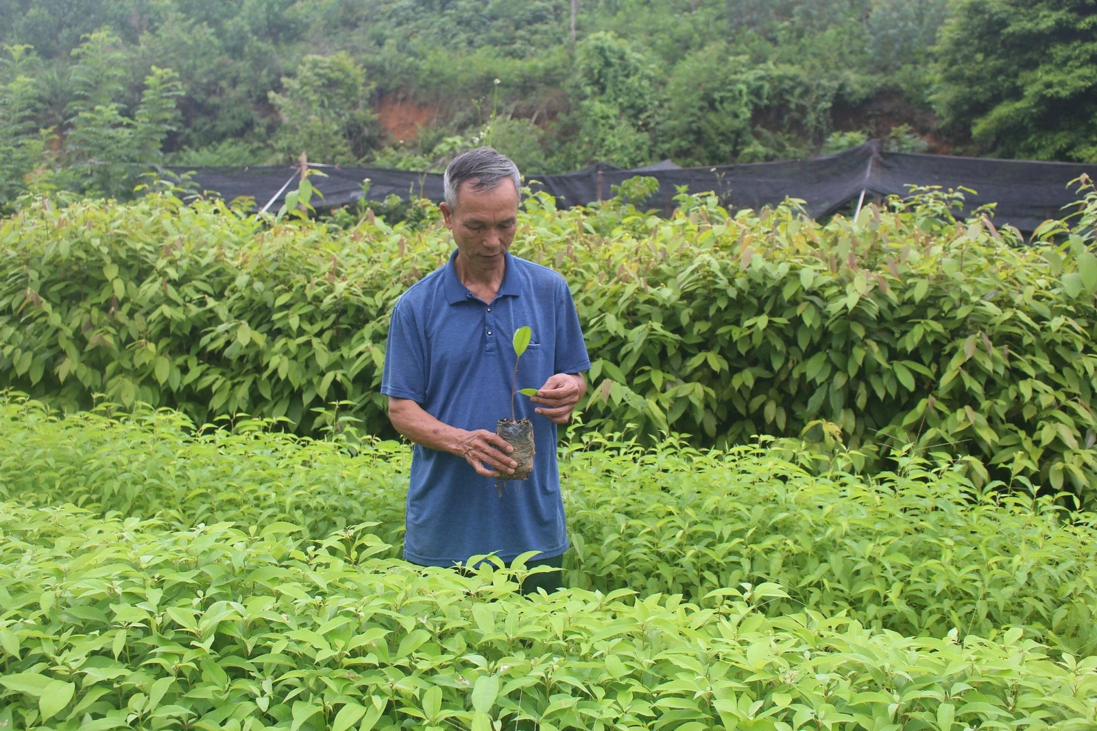 Những cựu chiến binh xung kích trên trận tuyến mới